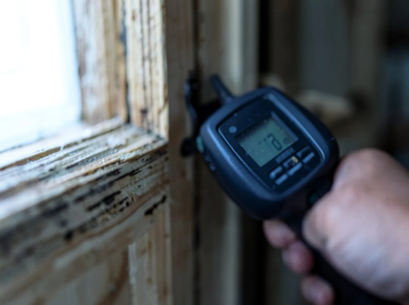 Moisture Inspection And Documentation in Pella, IA
